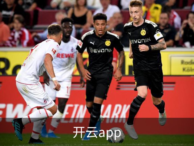 开云app简介
